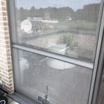 comima-petscreen-gaas-herstellen-munsterbilzen